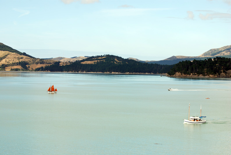 Tauranga-på-New-Zealand---Laust-Mærsk.jpg